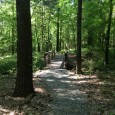 Floors in. Walls painting. Chest cold blooming. I ran 7.5 miles in the woods. Beautiful start to a long weekend.
