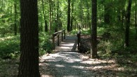 Floors in. Walls painting. Chest cold blooming. I ran 7.5 miles in the woods. Beautiful start to a long weekend.