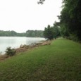 Good morning. Hope you enjoy this nice, humid day.