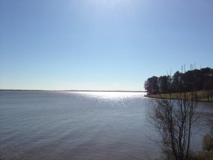 The Ross Barnett Reservoir at mile 11 of my run. 