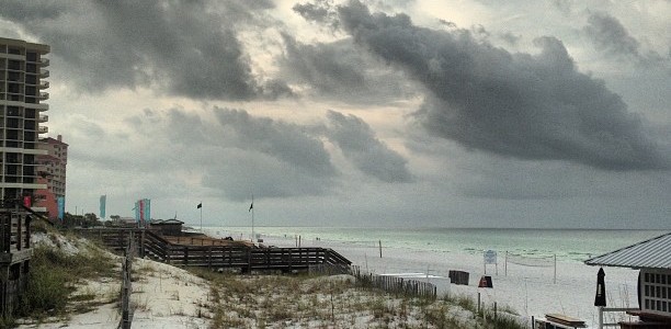 Good morning! Hope you’re having a great day so far.  I think it rained last night — although I never heard it.
