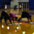 Fit2Fat2Fit Blog: Day 7 and 8 Since I’ve now worked out at Jackson State and Madison Central, I’m qualified to ask the age-old question: What’s worse, TOWELS (JSU Walter Payton Center gym) or BOARDS (Madison Central Football...